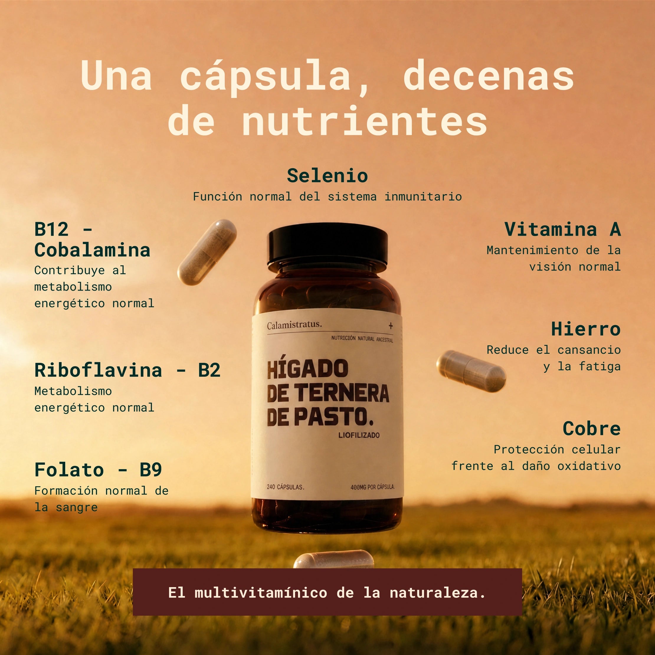 Hígado de ternera de pasto