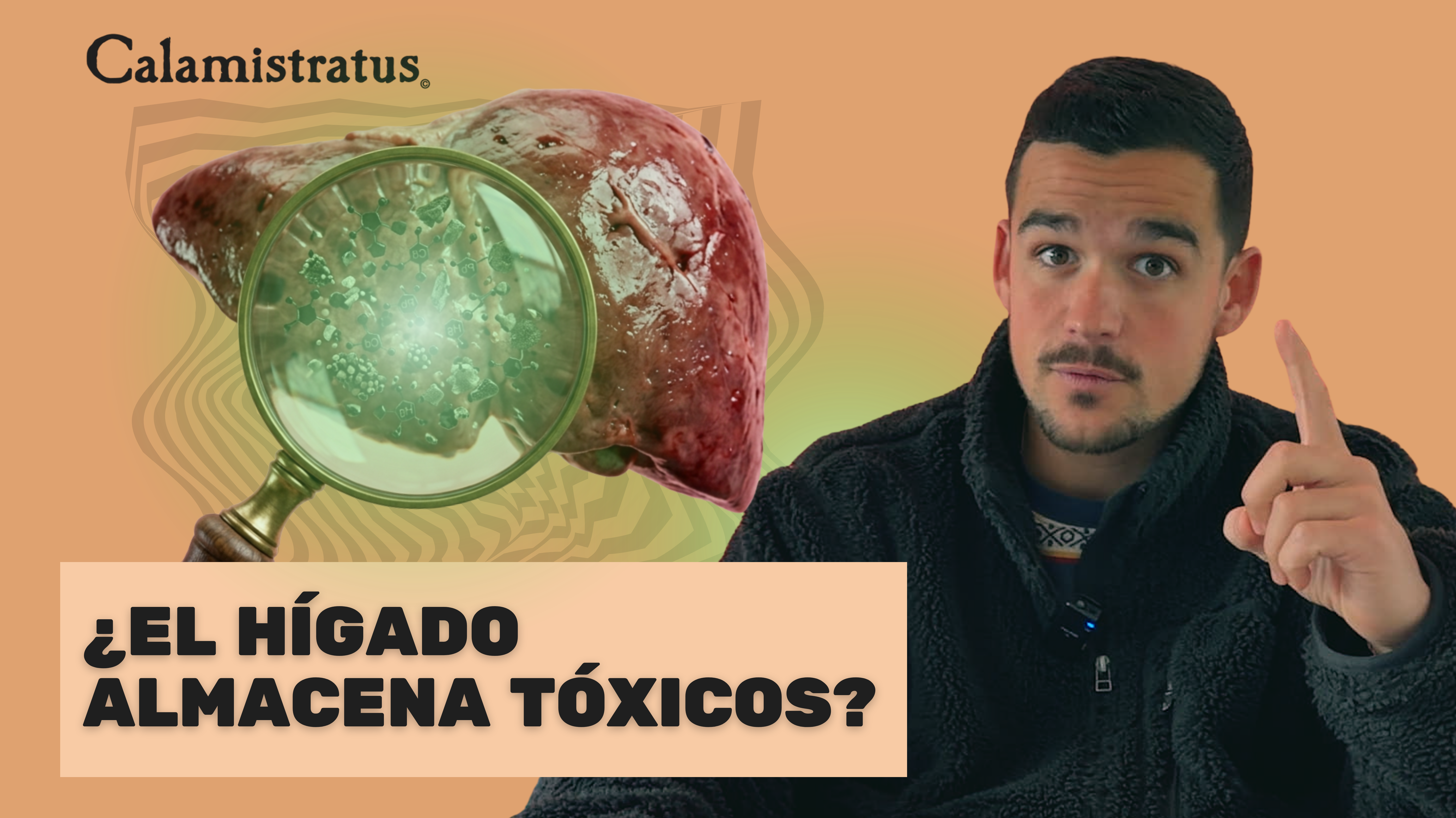 Cargar video: