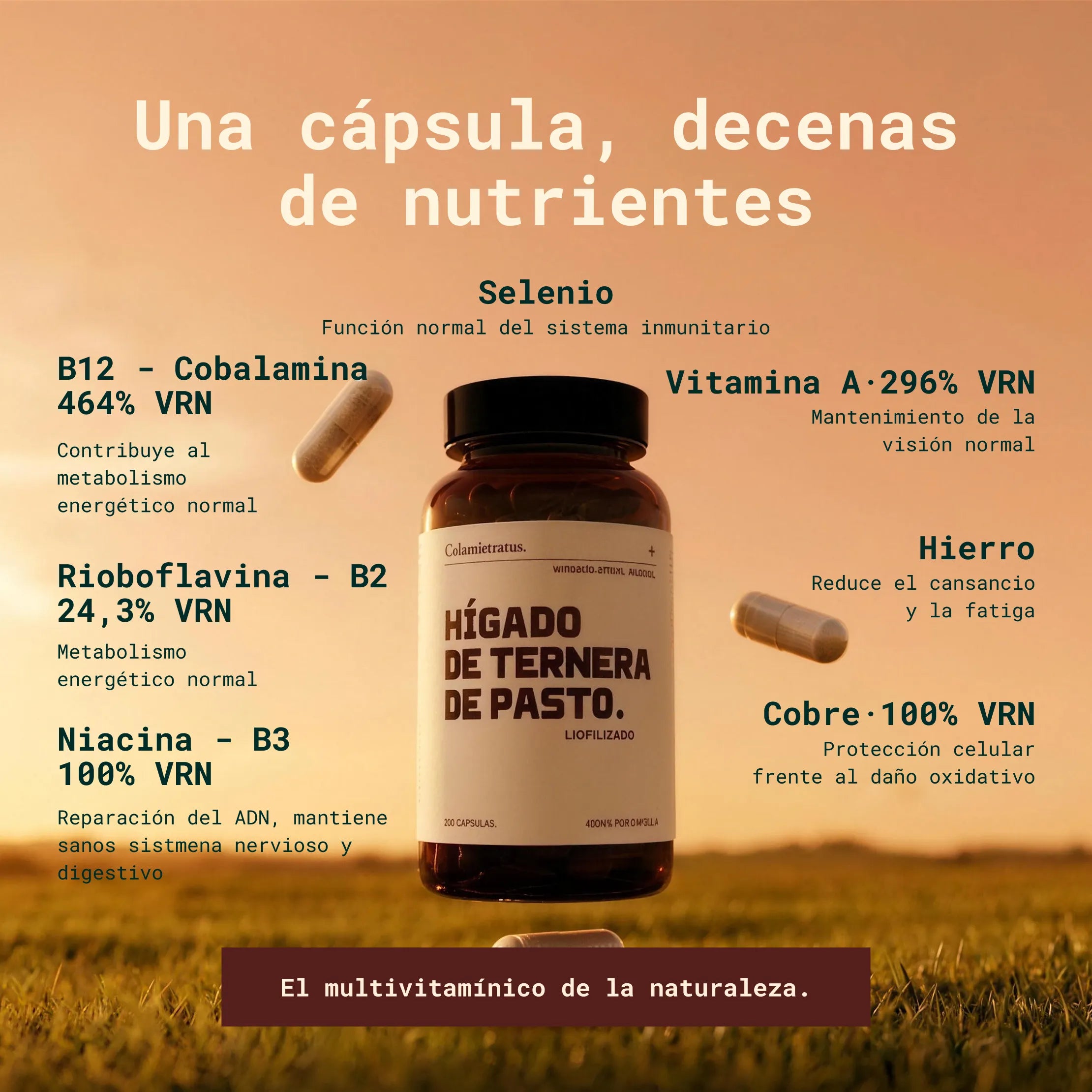 Hígado de ternera de pasto